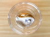 Oyster Shell Lucite Ice Bucket