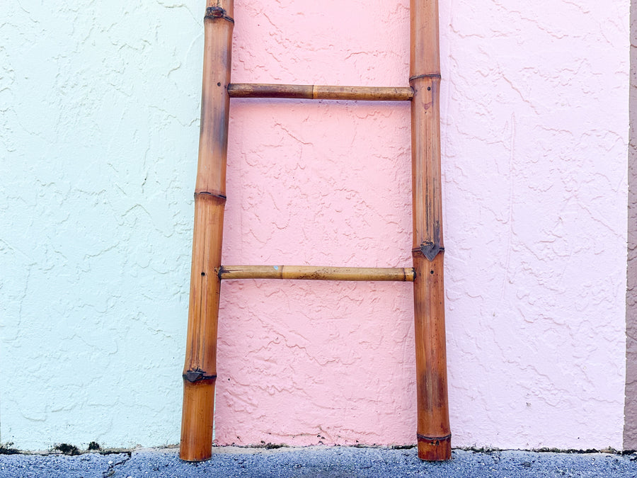 Bamboo Ladder