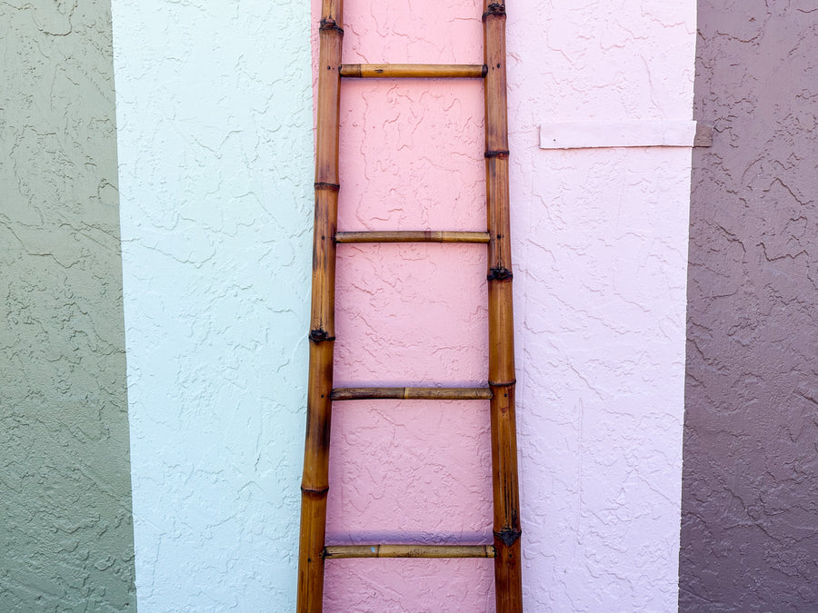 Bamboo Ladder