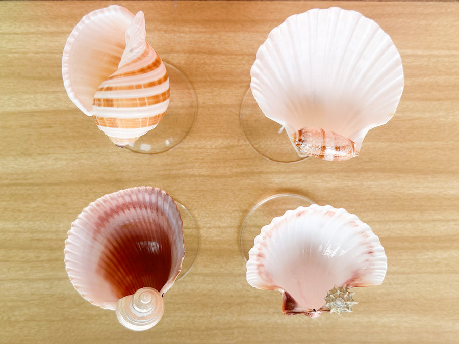 Set of Four Shell Chic Coupes