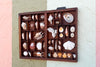 Medium Printers Tray Shell Display