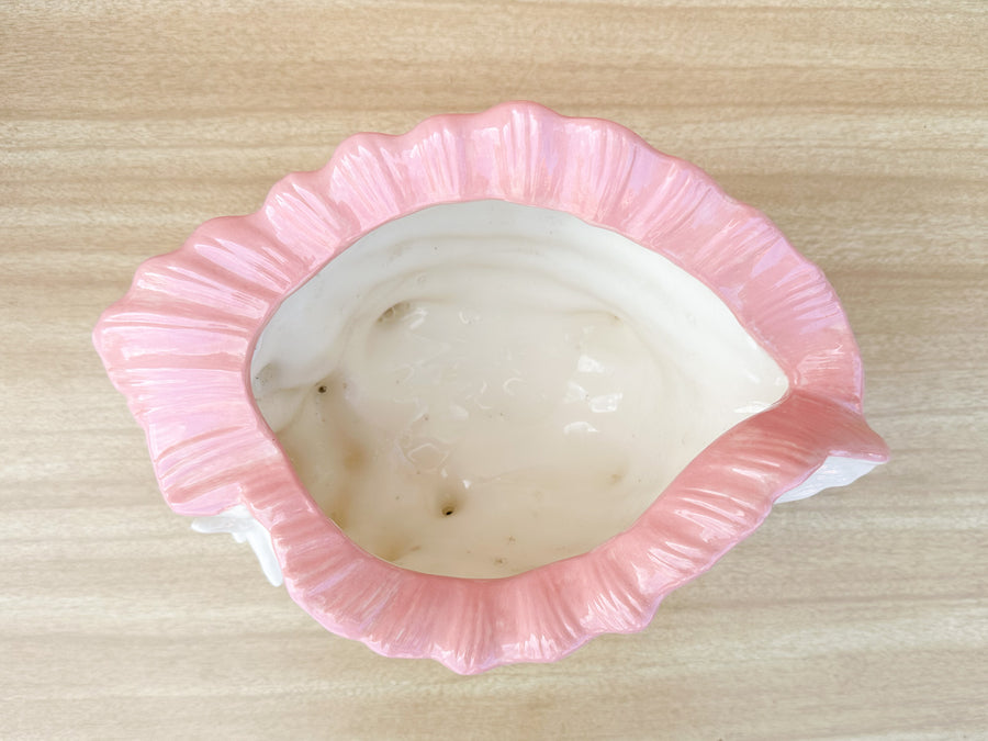 Double Conch Shell Pink Cachepot