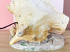 Old Florida Kitsch Shell Lamp