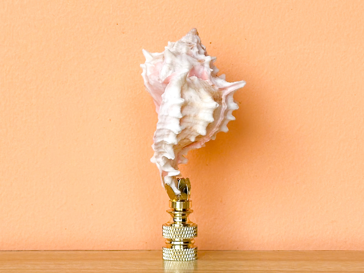 Murex Shell Finial