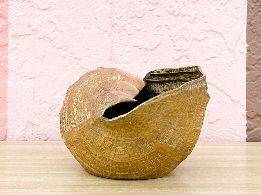 Brass Nautilus Cachepot