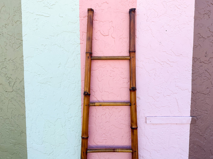 Bamboo Ladder
