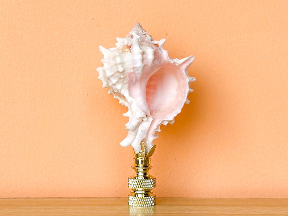 Murex Shell Finial