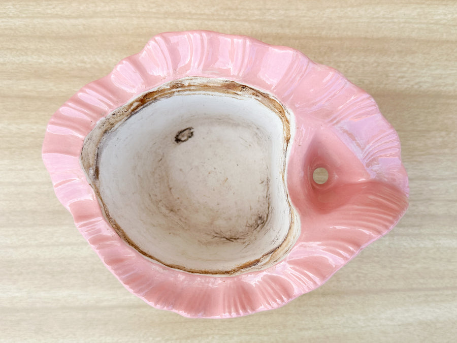 Double Conch Shell Pink Cachepot