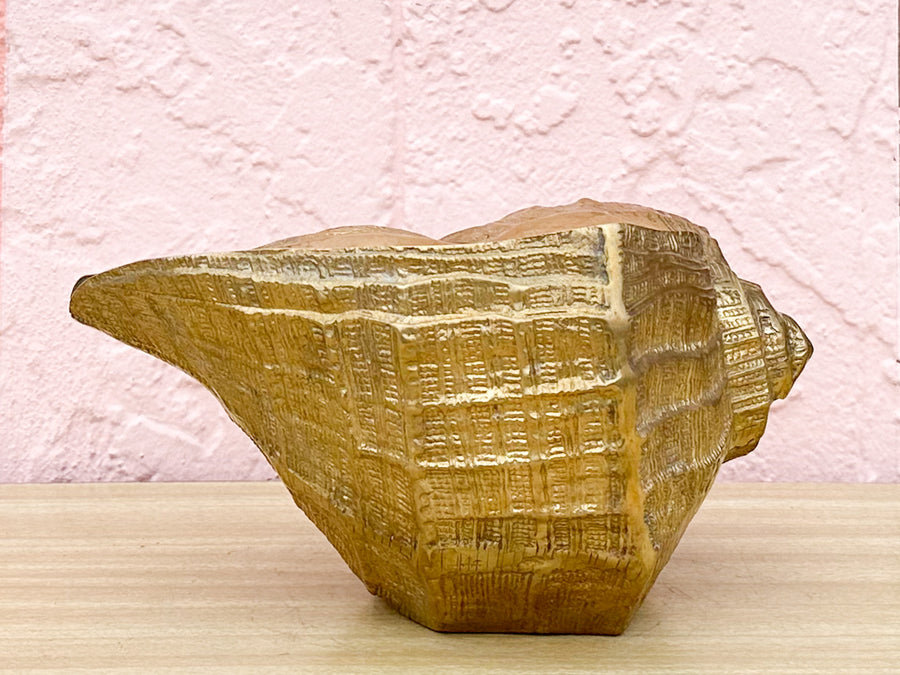 Brass Nautilus Cachepot