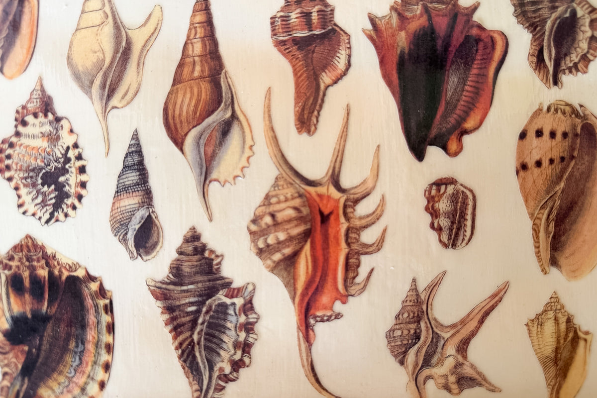 Bamboo Decoupage Shell Tray