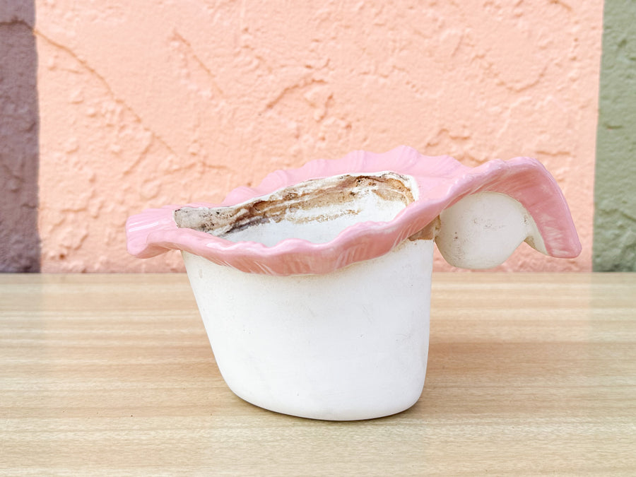 Double Conch Shell Pink Cachepot