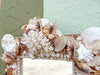 Shell Chic Mirror
