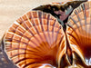 Set of Six French Burnt Sienna Oyster Plates