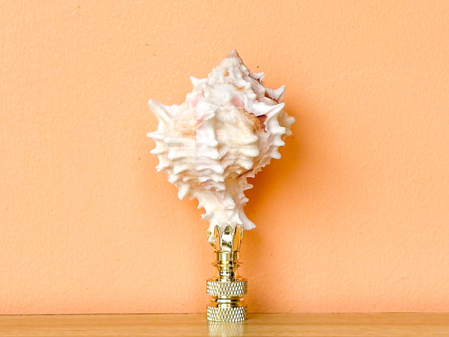 Murex Shell Finial