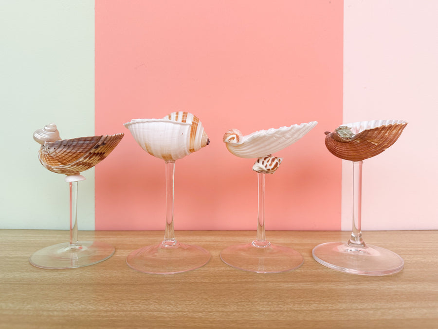 Set of Four Shell Chic Coupes