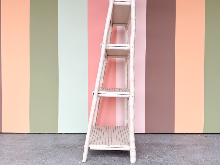 Coastal Rattan Leaning Etagere