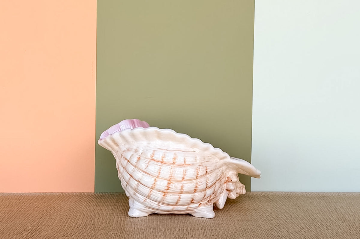Conch Shell Cachepot