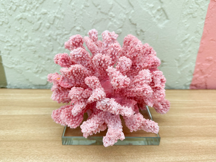 Pink Chic Coral on Lucite
