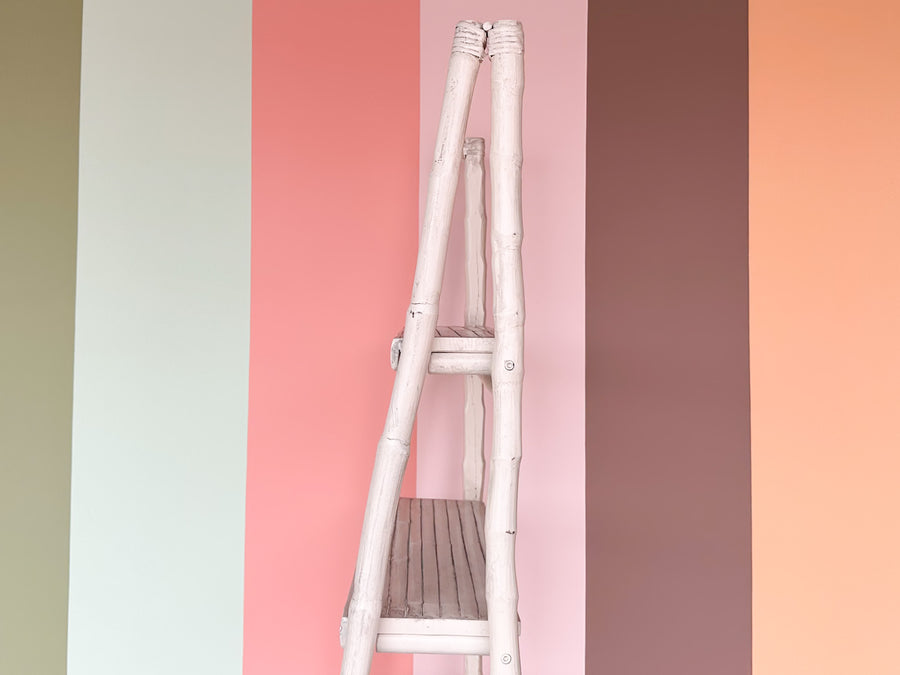 Coastal Rattan Leaning Etagere