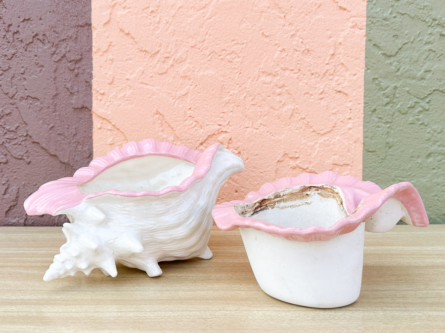 Double Conch Shell Pink Cachepot