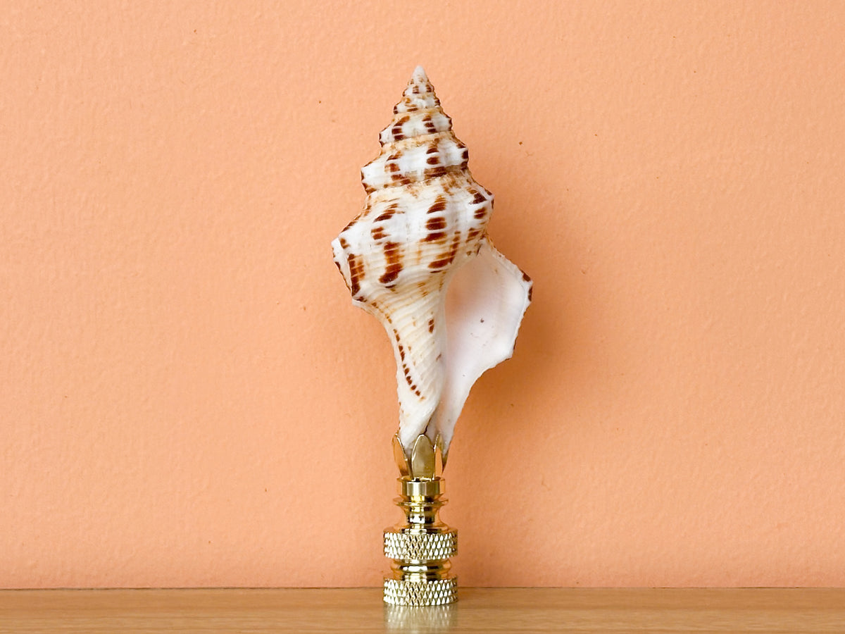 Spindle Shell Finial