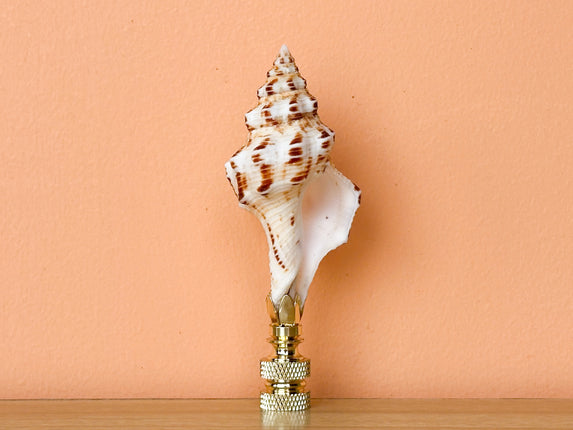 Spindle Shell Finial
