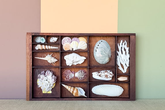 Petite Printers Tray Shell Display