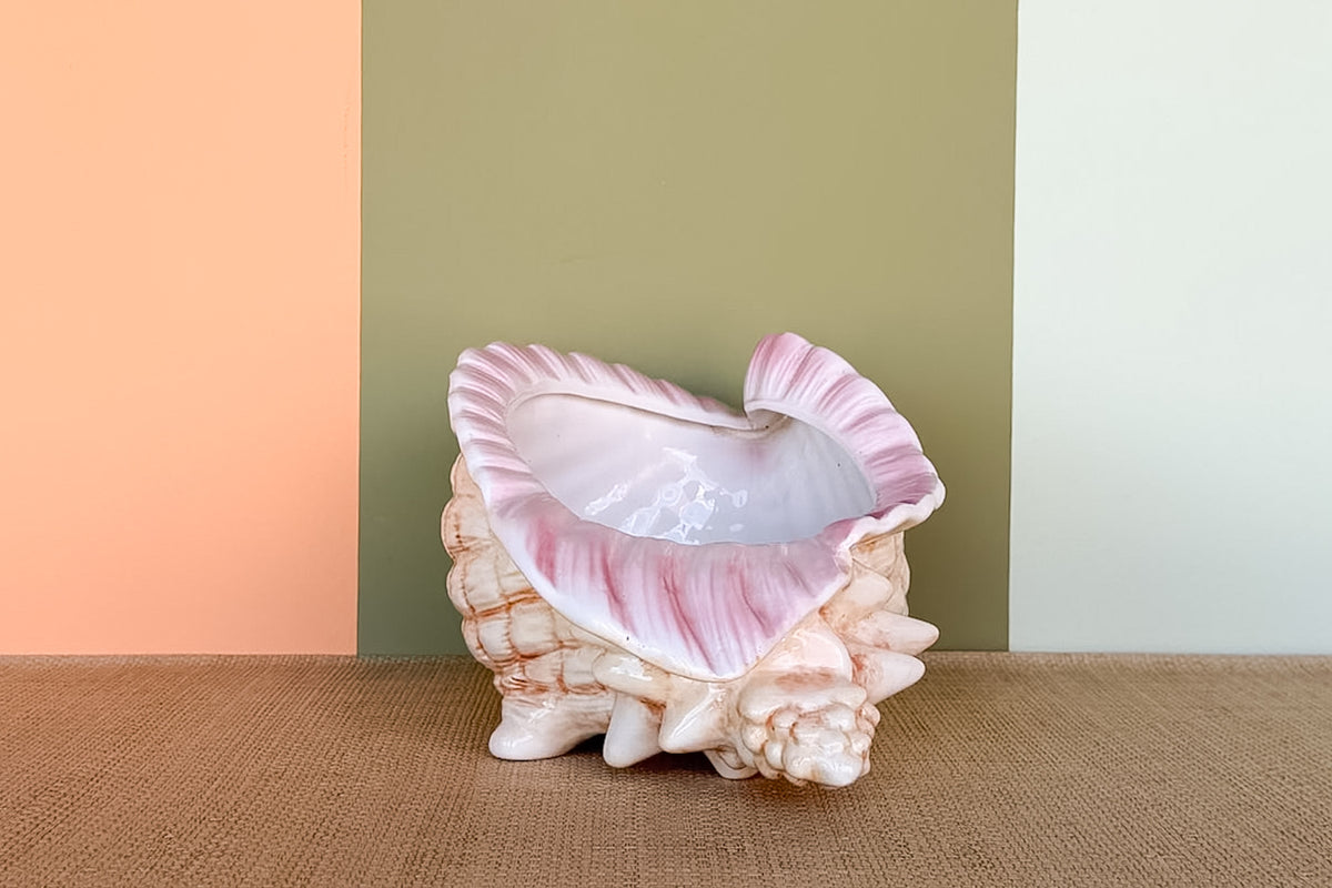 Conch Shell Cachepot