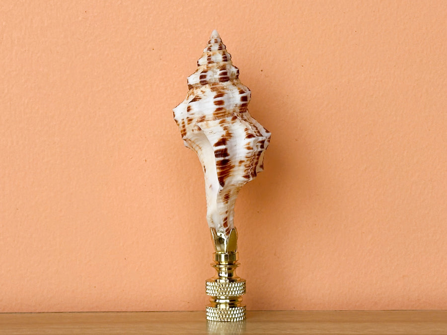 Spindle Shell Finial