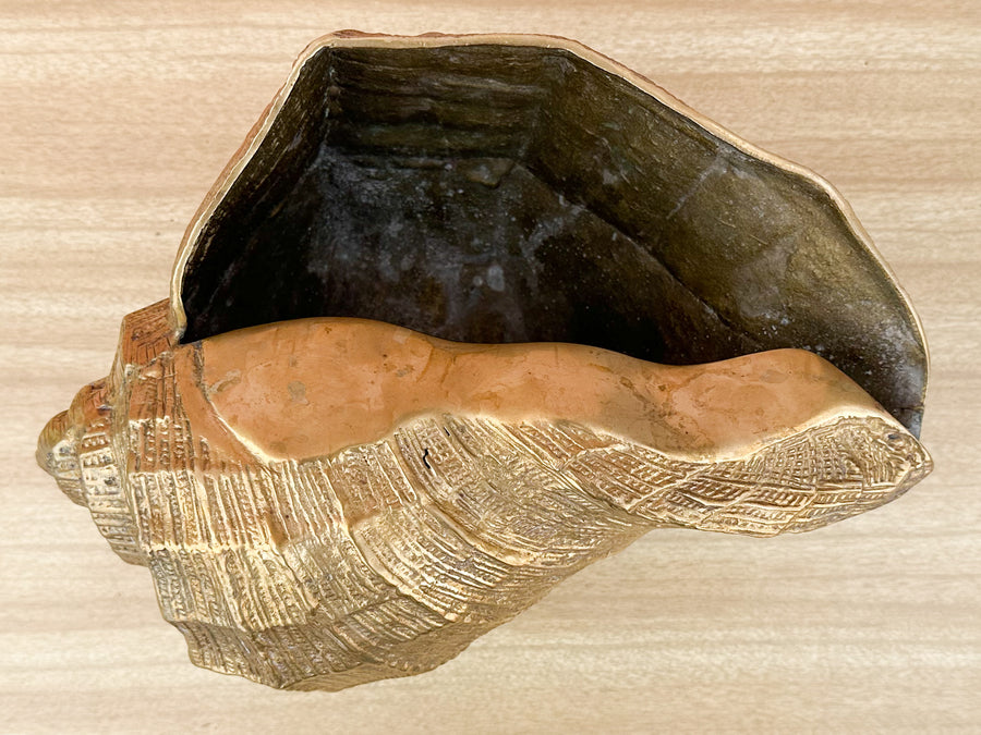Brass Nautilus Cachepot