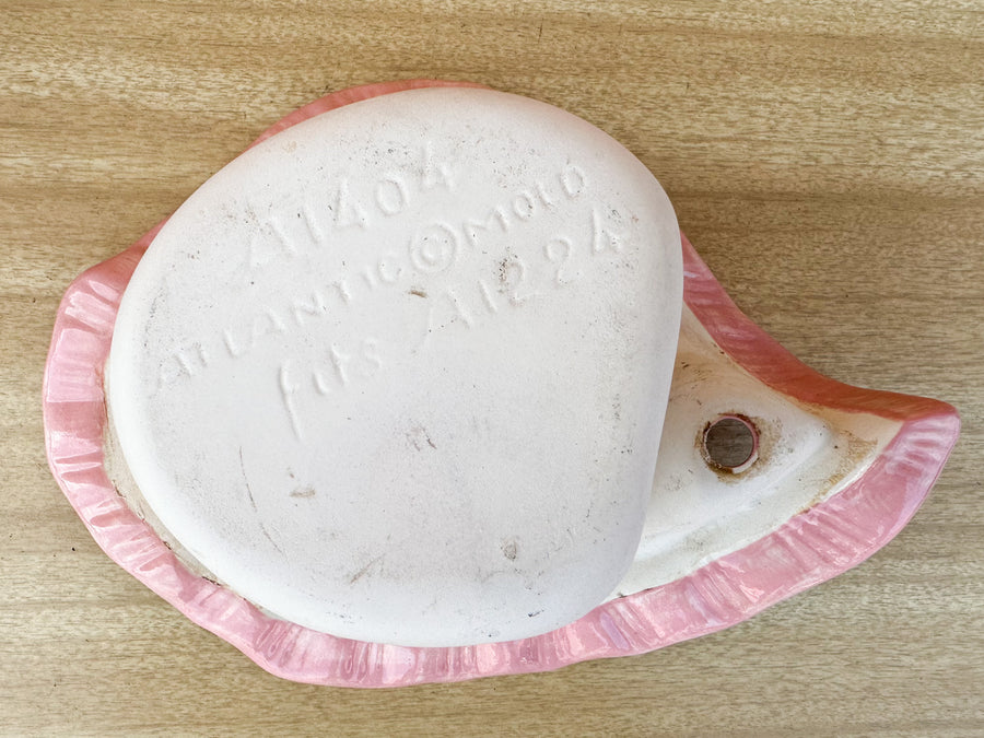 Double Conch Shell Pink Cachepot