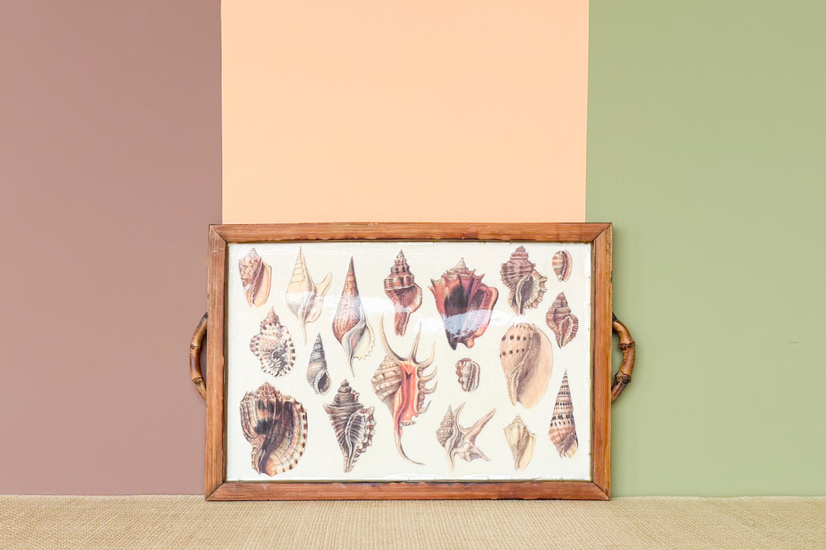 Bamboo Decoupage Shell Tray