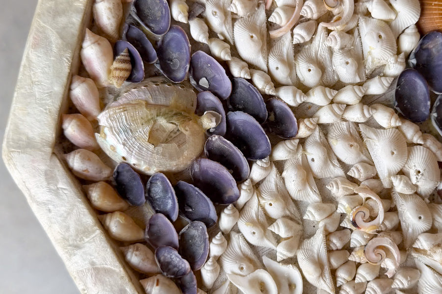 Custom Shell Chic Console