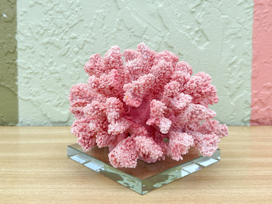 Pink Chic Coral on Lucite