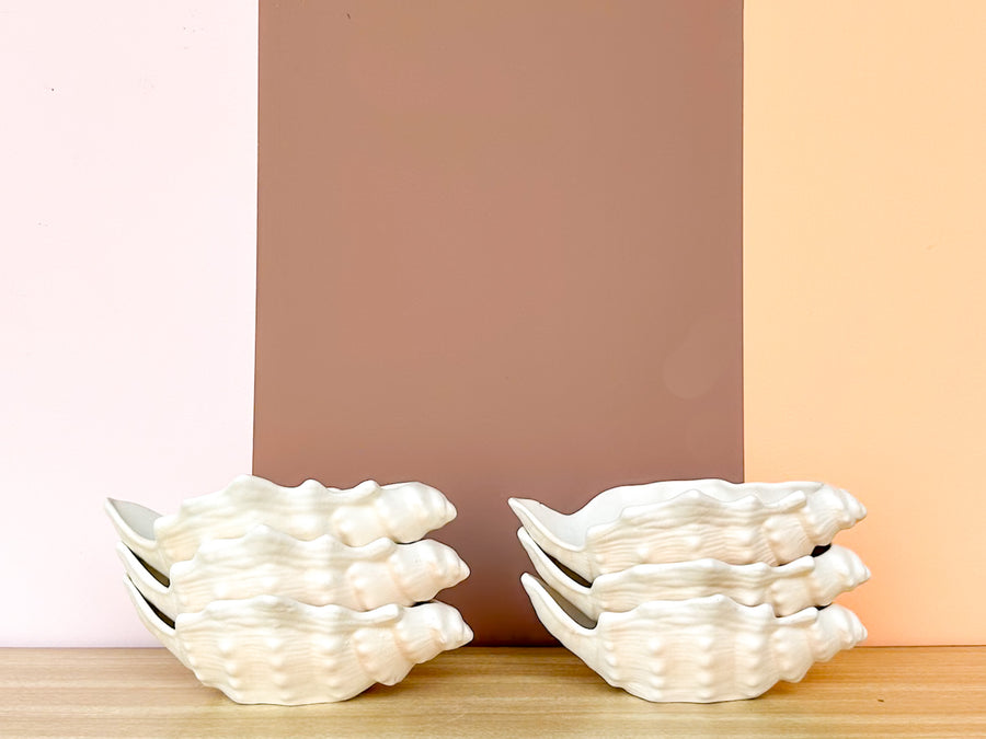 Set of Six Seashell Bowls