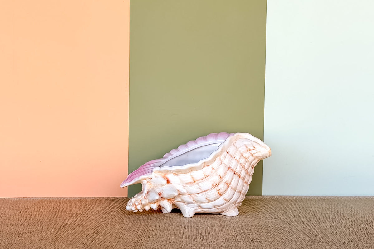 Conch Shell Cachepot