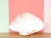Natural Clam Shell