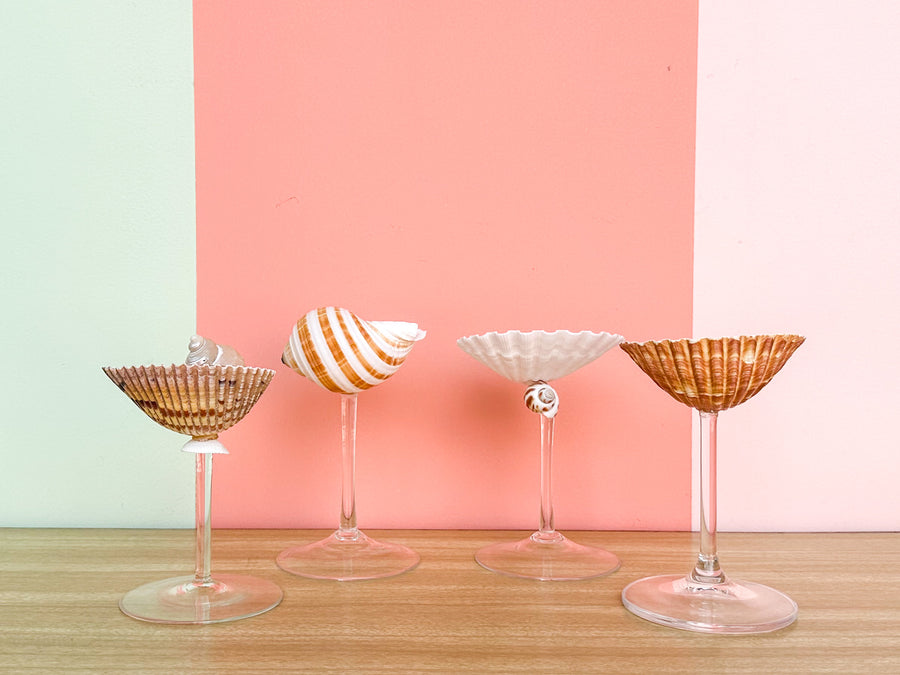 Set of Four Shell Chic Coupes
