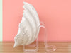 Natural Clam Shell