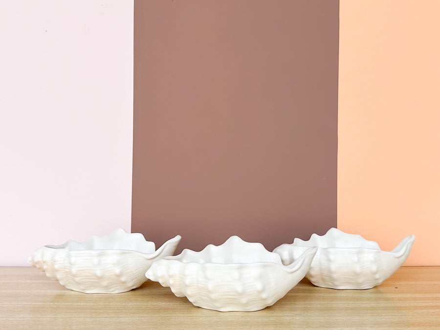 Set of Six Seashell Bowls