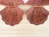 Pair of Wicker Clam Shell Baskets