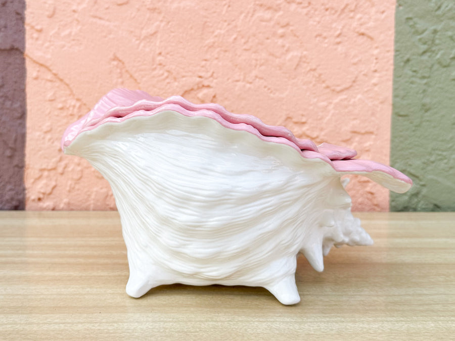 Double Conch Shell Pink Cachepot