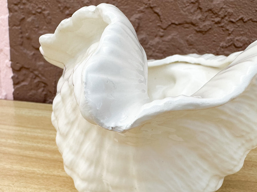 Cream Conch Shell Cachepot
