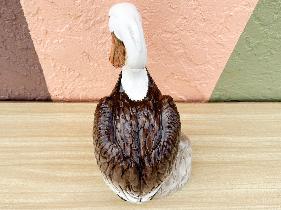 Old Florida Pelican by Townsends