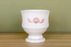 Pink Chic Coquille Sangostone Dish Set