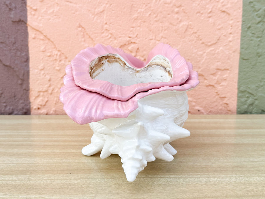 Double Conch Shell Pink Cachepot