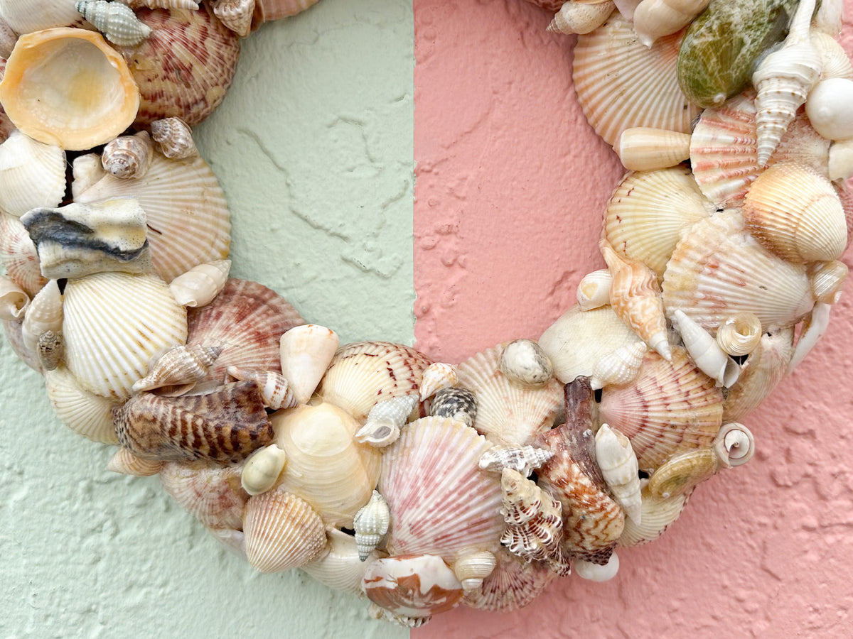 Holiday Shell Wreath