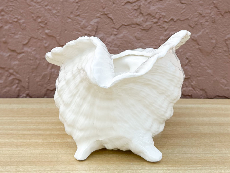 Cream Conch Shell Cachepot