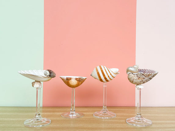 Set of Four Shell Chic Coupes