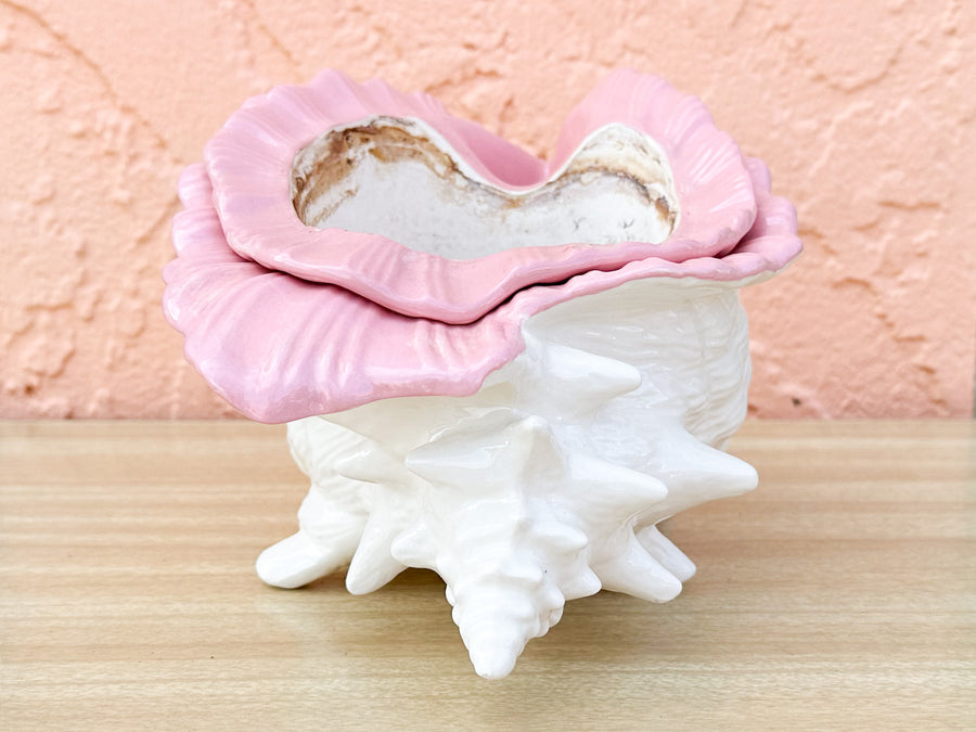 Double Conch Shell Pink Cachepot